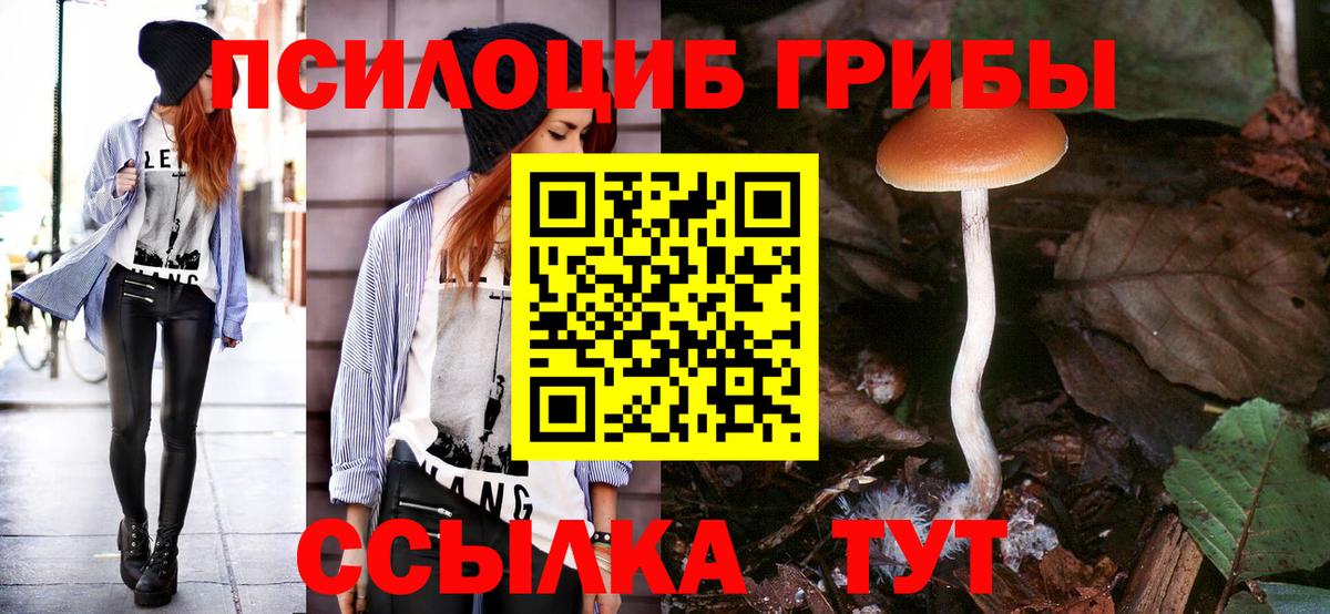Галлюциногенные грибы Magic Shrooms  цены   Тосно  Вход с VPN 
