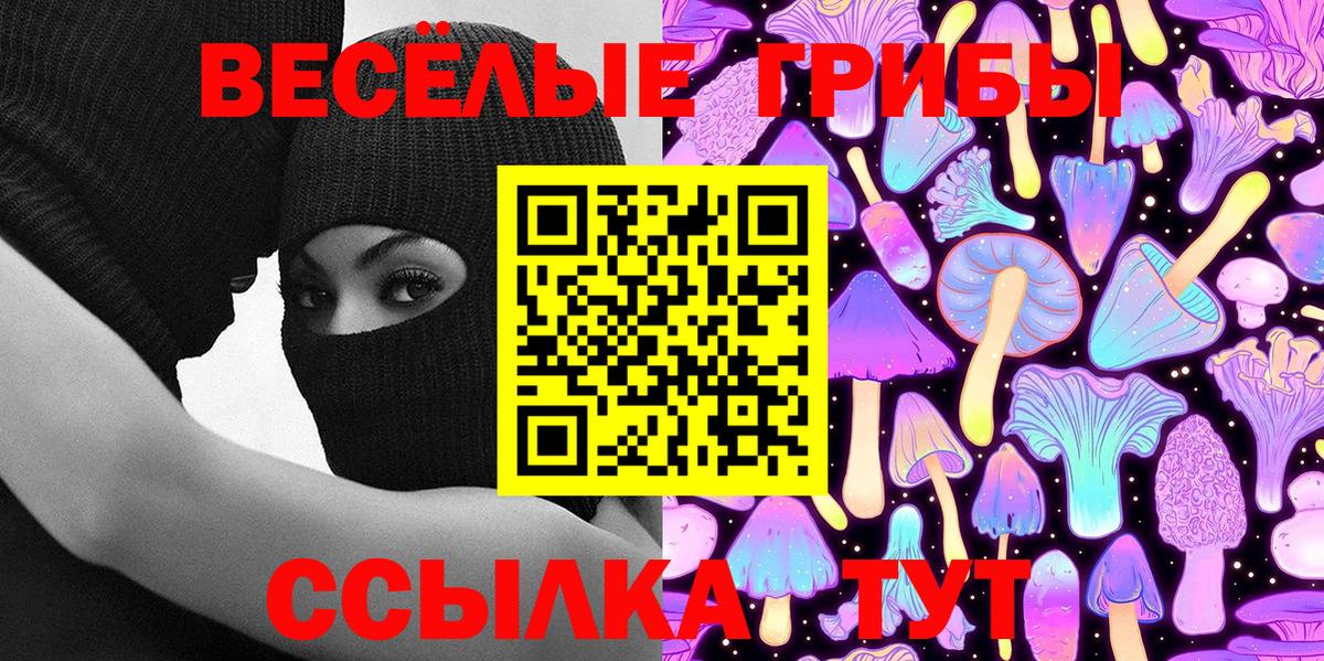 Псилоцибиновые грибы Psilocybe Тосно